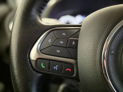 Jeep Renegade 1.3 T4 DDCT Limited (17)