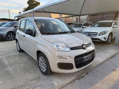 Fiat Panda 1.2 Easy usata