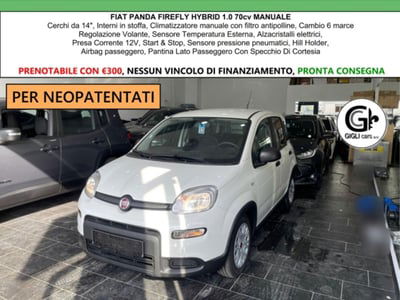 Fiat Panda 1.0 firefly hybrid s&s 70cv 5p.ti nuova