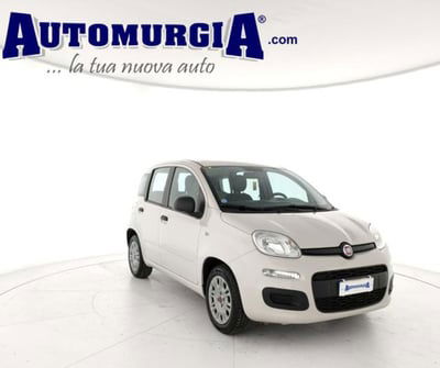 Fiat Panda 1.2 Easy usata