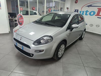 Fiat Punto 1.2 8V 5 porte Lounge usata