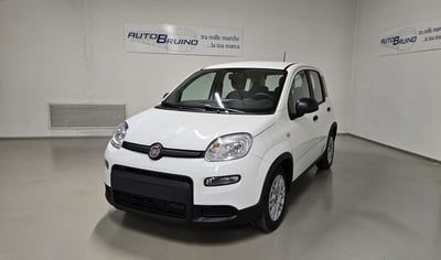 Fiat Panda Cross Cross 1.0 FireFly S&S Hybrid nuova