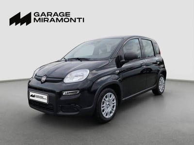 Fiat Panda 1.0 firefly hybrid s&s 70cv 5p.ti nuova