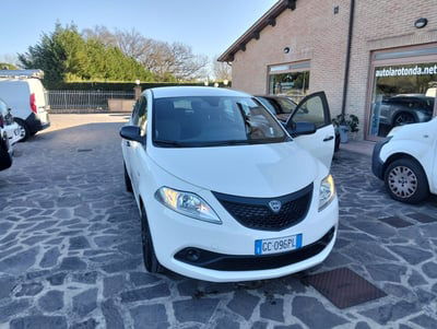 Lancia Ypsilon 1.2 69 CV 5 porte Elefantino Blu  usata