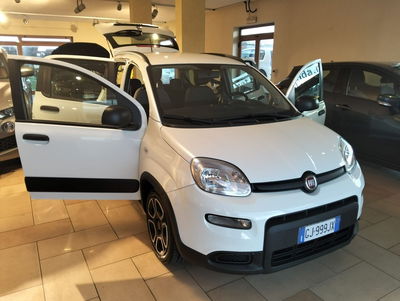 Fiat Panda 1.0 FireFly S&S Hybrid City Life usata