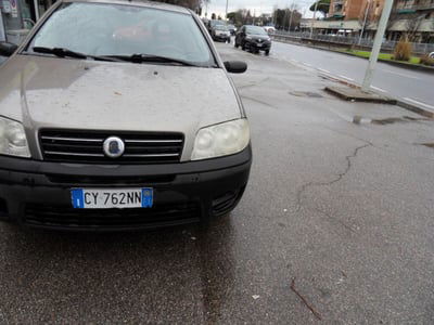 Fiat Punto 1.2 3 porte Active  usata