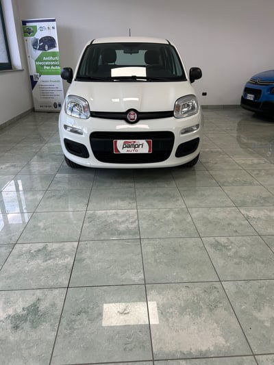 Fiat Panda 1.2 Pop usata