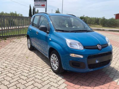 Fiat Panda 1.2 Easy usata