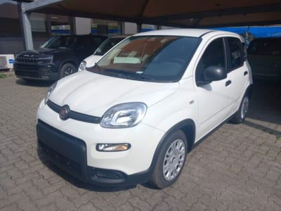Fiat Panda 1.0 firefly hybrid s&s 70cv 5p.ti nuova