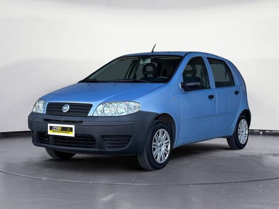 Fiat Punto 1.2 5 porte Active usata