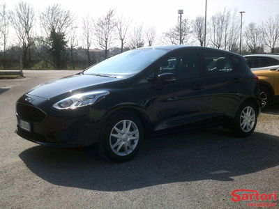 Ford Fiesta 1.1 5 porte Plus usata