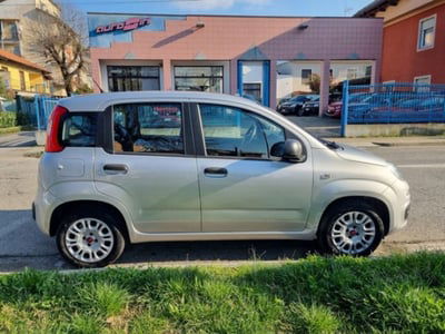Fiat Panda 1.2 Lounge  usata