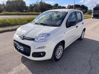 Fiat Panda 1.2 EasyPower Easy usata