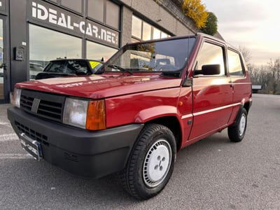 Fiat Panda 1100 i.e. cat Young