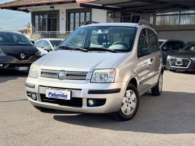 Fiat Panda 1.2 Dynamic usata