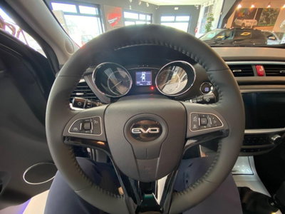 Evo Evo Cross 4 2.0 turbo diesel 136cv (9)