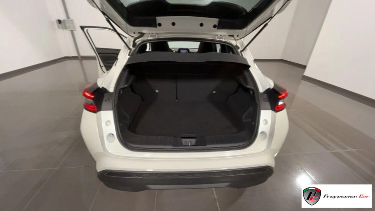 Nissan Juke 1.0 dig-t N-Connecta 114cv (20)