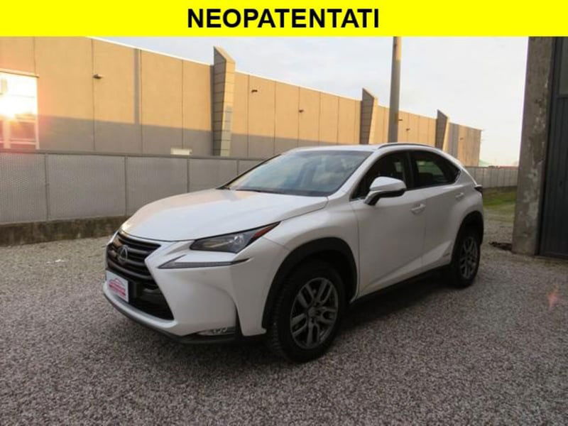 Lexus NX Hybrid 4WD Executive