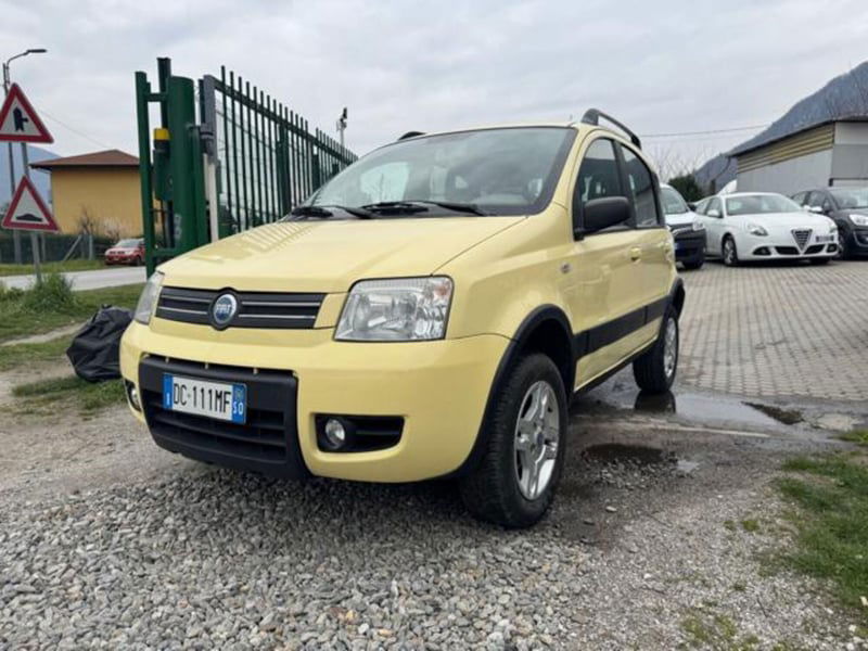 Fiat Panda 1.3 MJT 4x4 Van Active 2 posti