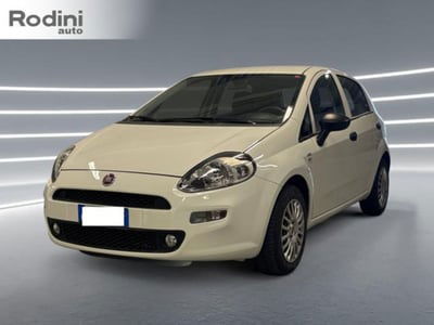 Fiat Punto 1.2 8V 5 porte Lounge usata