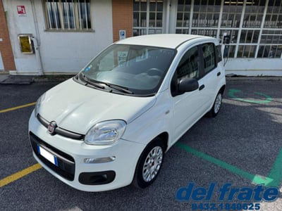 Fiat Panda 1.2 usata