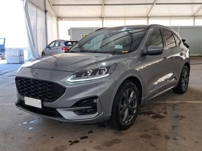 Ford Kuga 2.0 EcoBlue 190 CV aut. AWD ST-Line X usata