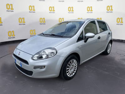 Fiat Punto 1.2 8V 5 porte Street usata
