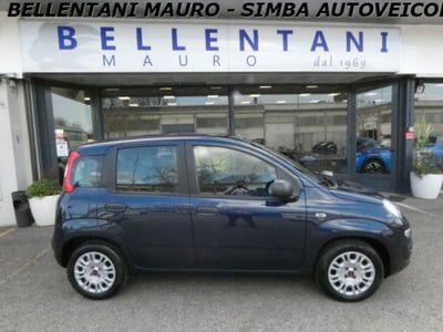 Fiat Panda 1.2 EasyPower Easy  usata