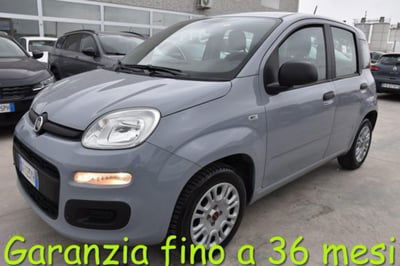Fiat Panda 1.2 Easy usata