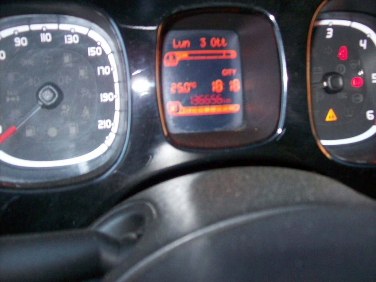 Fiat Panda 1.3 MJT S&S 4x4 (9)