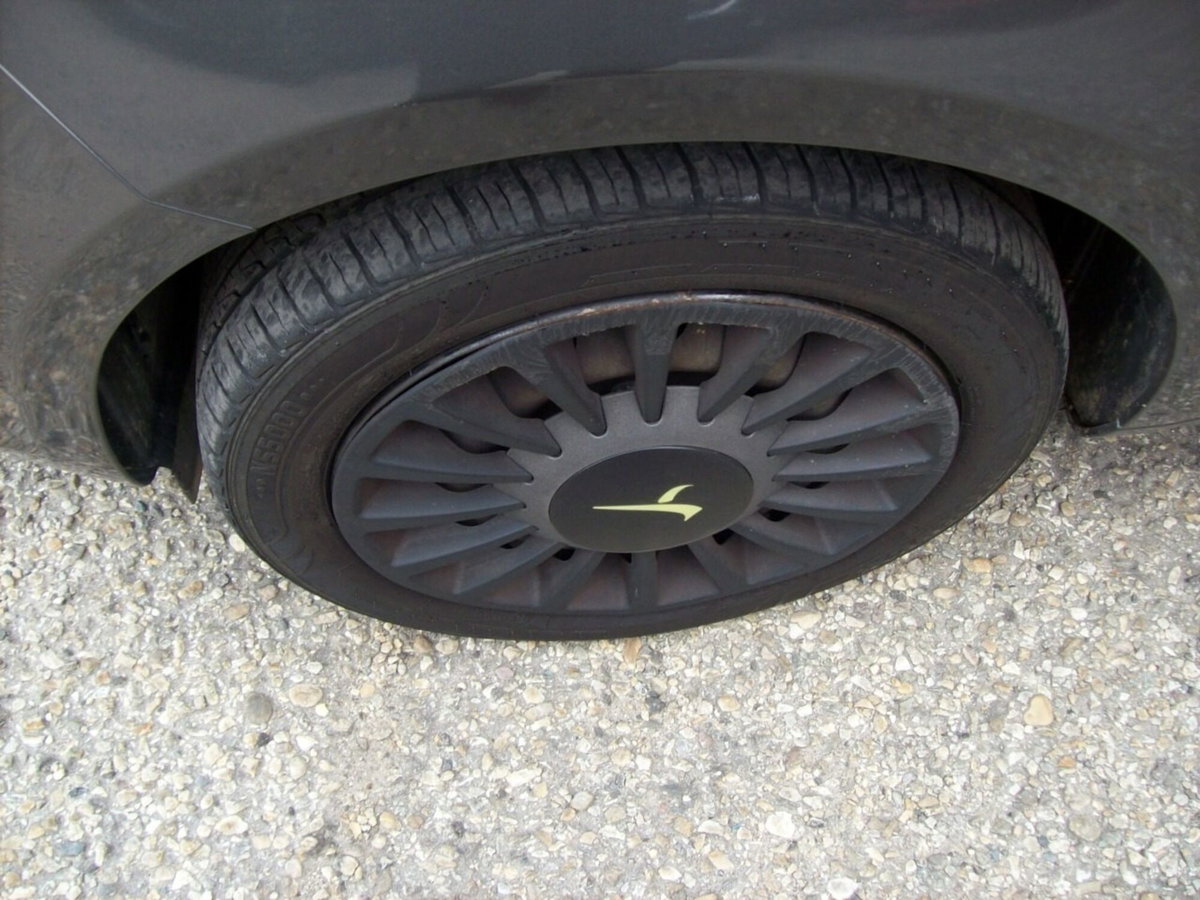 Lancia Ypsilon 1.2 69 CV 5 porte Elefantino (4)