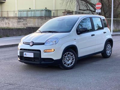 Fiat Panda 1.0 firefly hybrid s&s 70cv 5p.ti