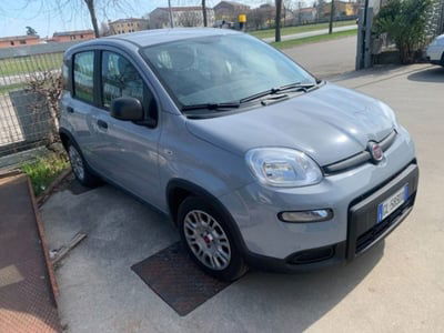 Fiat Panda 1.0 firefly hybrid s&s 70cv 5p.ti nuova