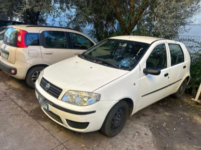 Fiat Punto 1.2i cat 5 porte EL usata