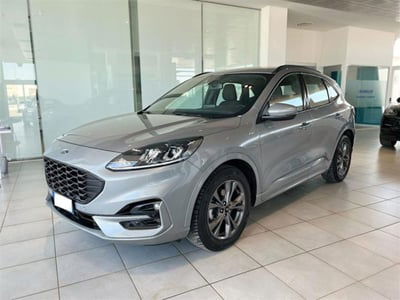 Ford Kuga 1.5 EcoBlue 120 CV 2WD ST-Line usata