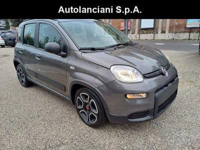 Fiat Panda 1.0 firefly hybrid s&s 70cv 5p.ti usata