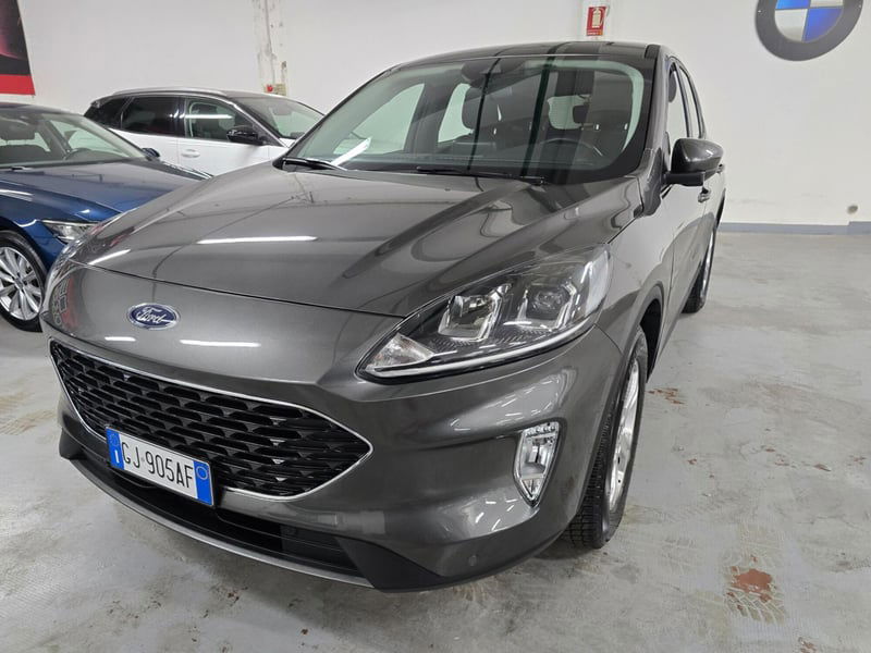 Ford Kuga 1.5 EcoBlue 120 CV 2WD ST-Line