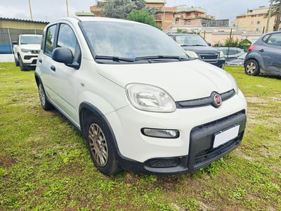 Fiat Panda Cross Cross 1.0 FireFly S&S Hybrid usata
