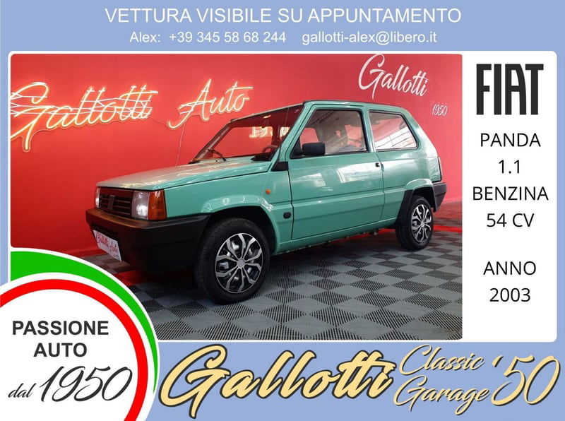 Fiat Panda 1100 i.e. cat Young
