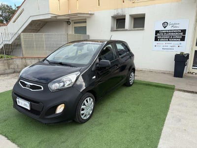 Kia Picanto 1.0 12V 5 porte Trendy usata
