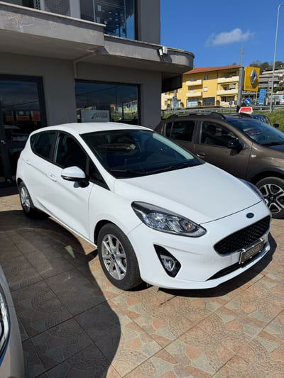 Ford Fiesta 1.1 75 CV 5 porte Plus  usata