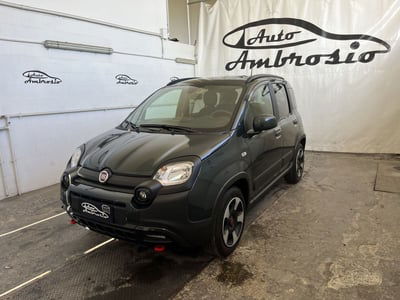 Fiat Panda Cross Cross 1.0 FireFly S&S Hybrid usata