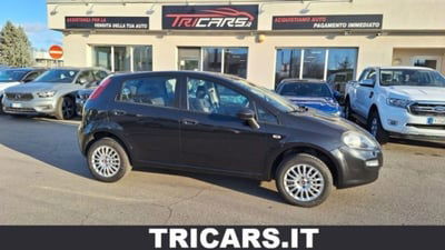 Fiat Punto 1.4 8V 5 porte Natural Power Easy usata