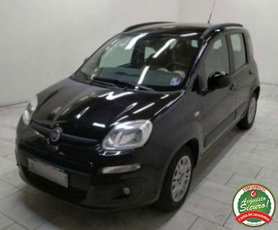 Fiat Panda 1.2 Lounge usata