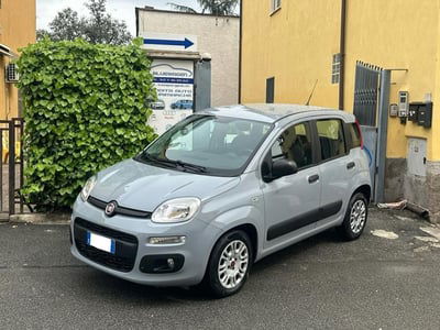Fiat Panda 1.2 usata