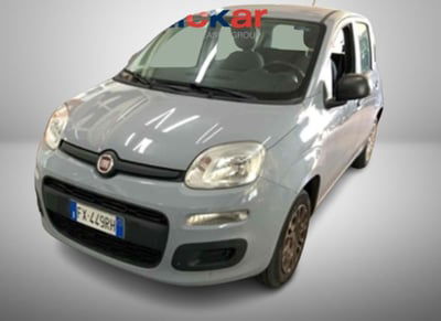Fiat Panda 1.2 EasyPower Easy usata