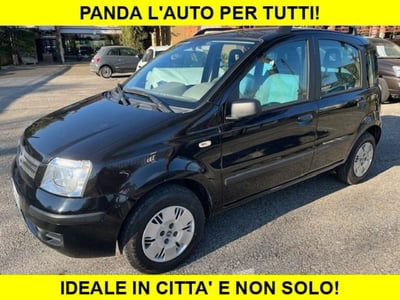 Fiat Panda 1.2 4x4 usata