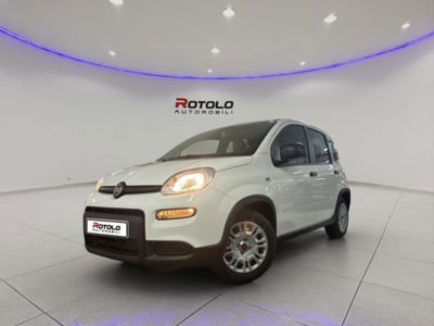 Fiat Panda 1.0 firefly hybrid s&s 70cv 5p.ti nuova