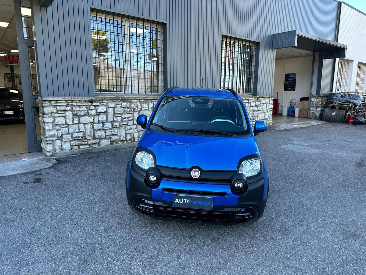 Fiat Panda Cross Cross 1.0 FireFly S&S Hybrid (18)