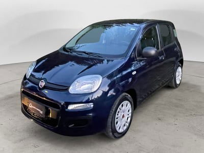Fiat Panda 1.2 Easy usata
